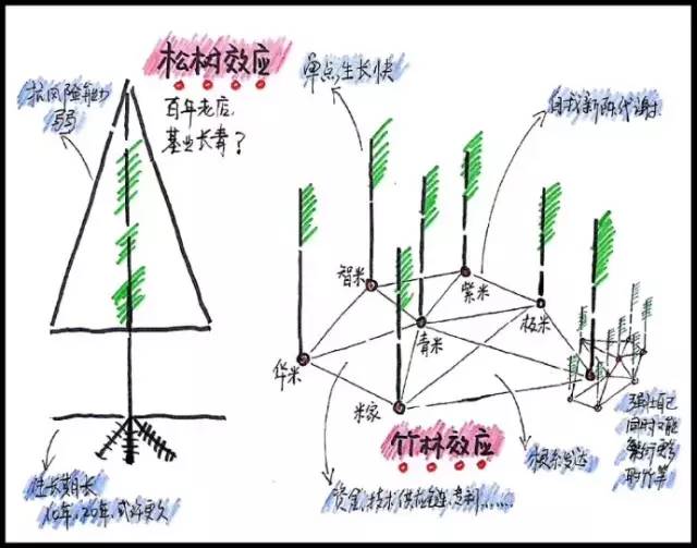 9张脑图：读懂雷军的商业生态运营逻辑